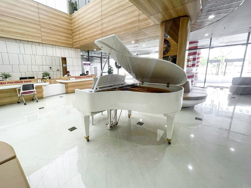 Chi tiết đàn DIAPASON 170D WH - Hình 4